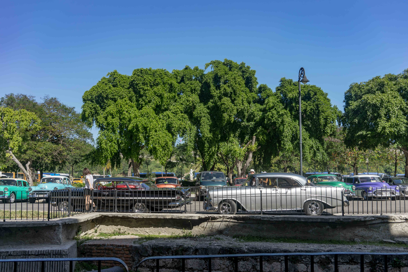 Illustration for article titled Here's What Cuba's Car Scene Looks Like In 2017